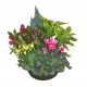 Coupe de Plantes