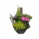 Coupe de Plantes